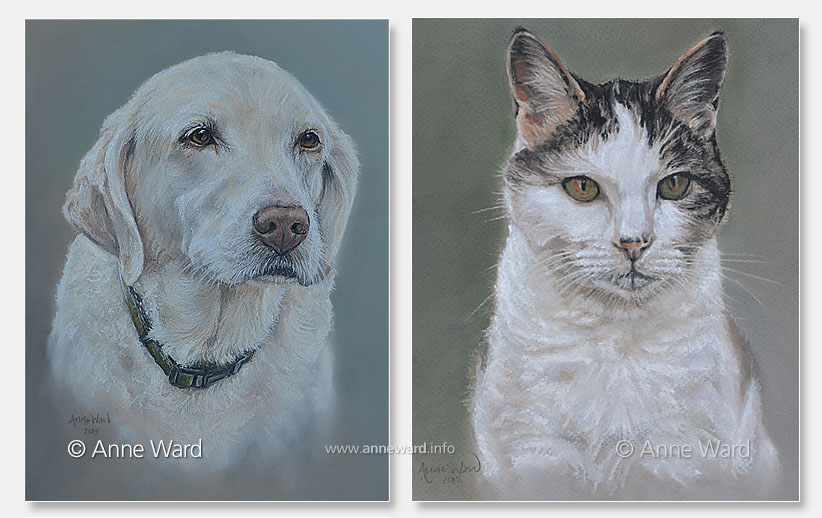 Anne Ward artist yellow Labrador and cat portraits